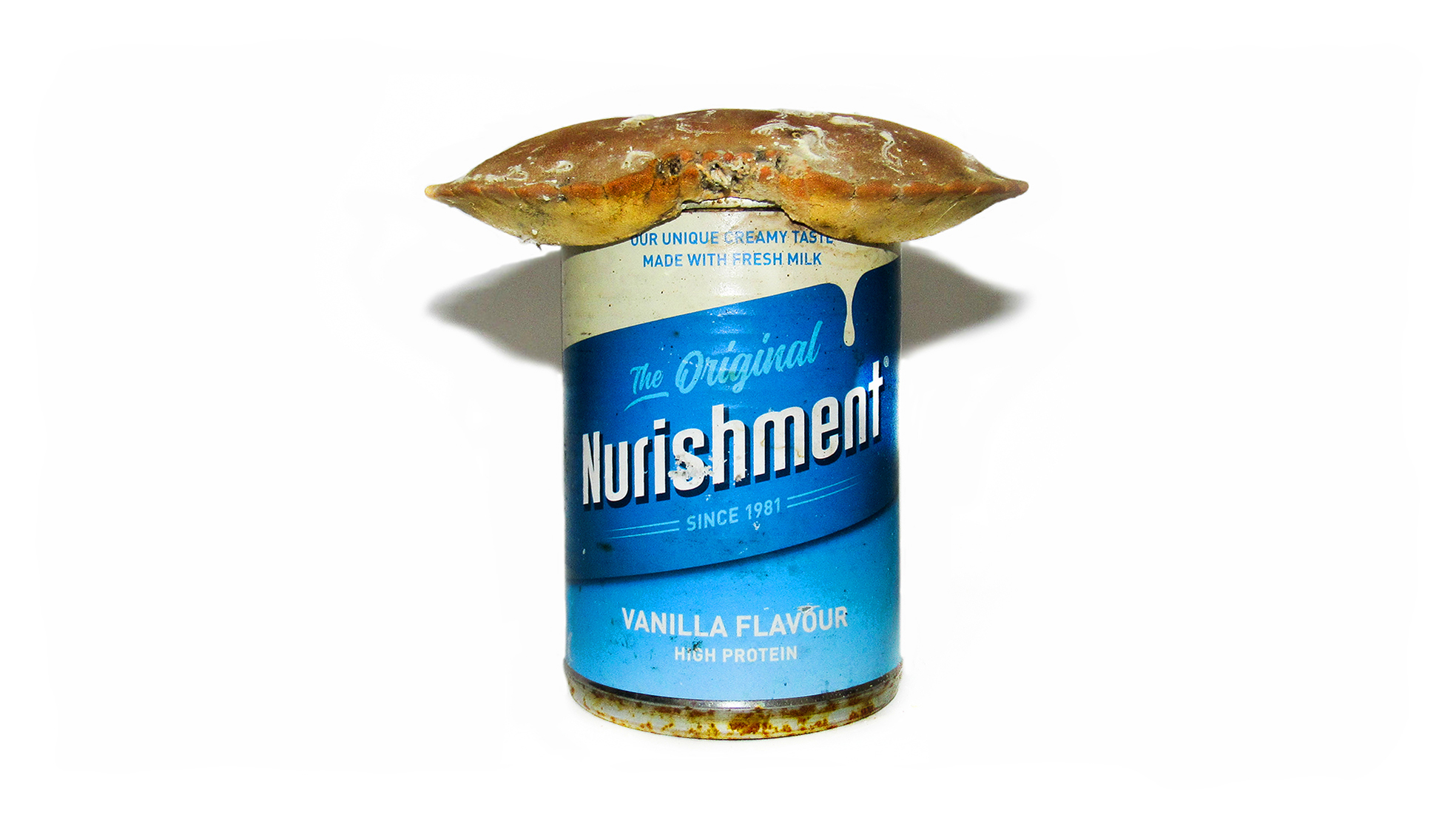BA Fine Art Photograph by Abbey Nichols-Henderson showing a found object sculpture created by putting a crab shell on top of a can of vanilla nurishment.