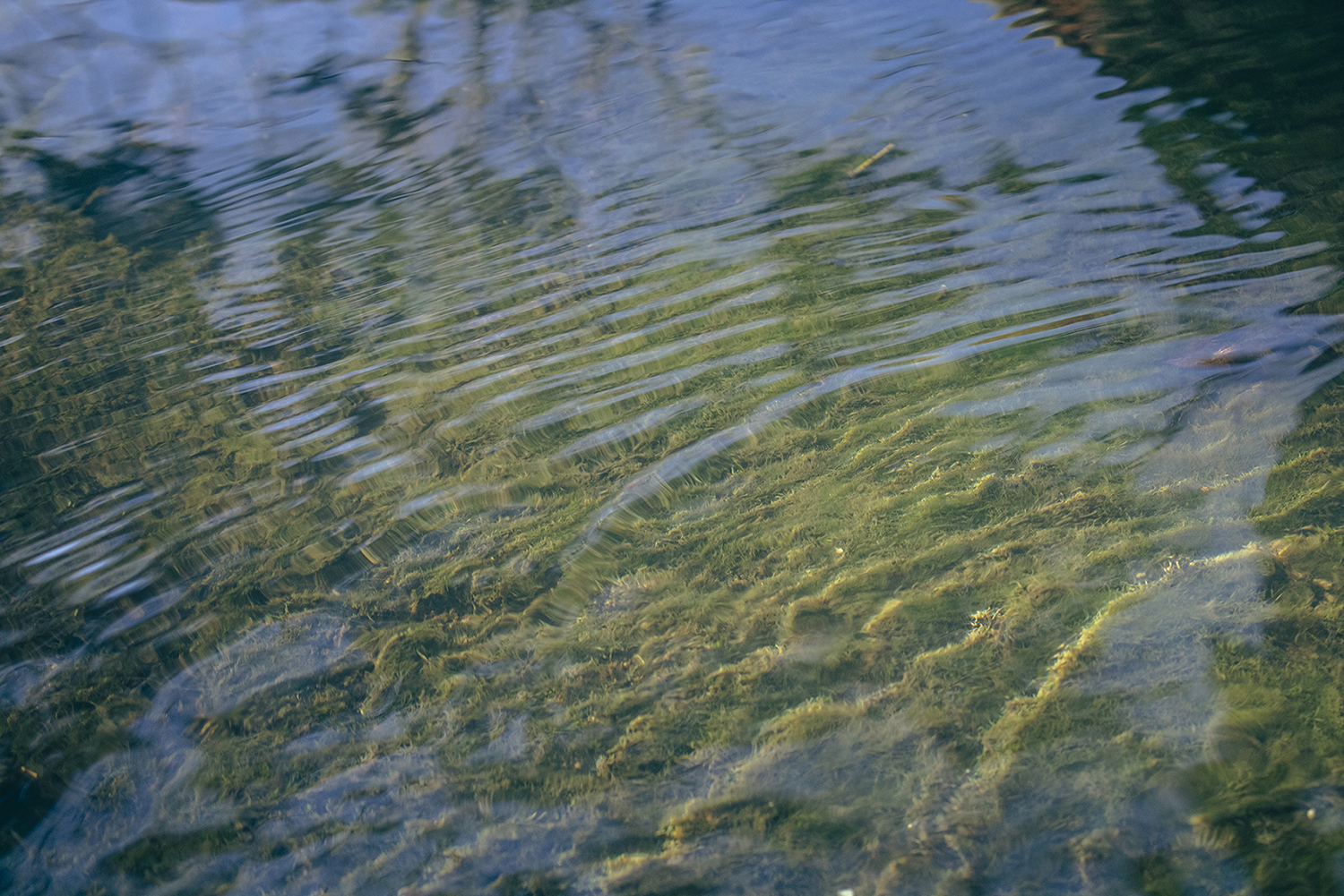 This image by BA Photography student, Amelia Boyles, shows a river with ripples glistening in the sunlight.