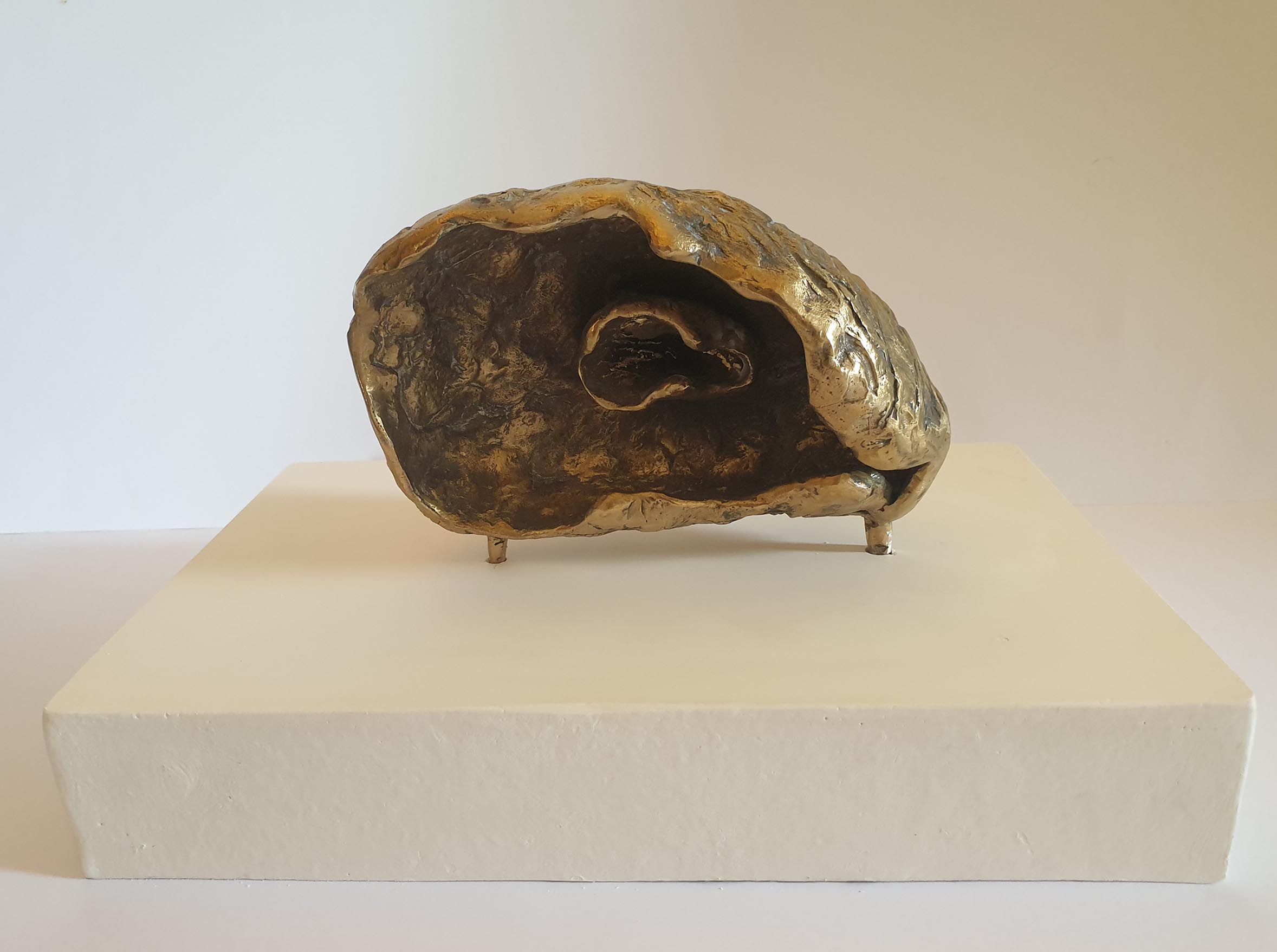 Curved bronze shell shape, softly textured and engraved, with organic pattern and fossil imprint on the back, containing central small shell shape. Little legs protrude standing on rectangular plaster plinth.