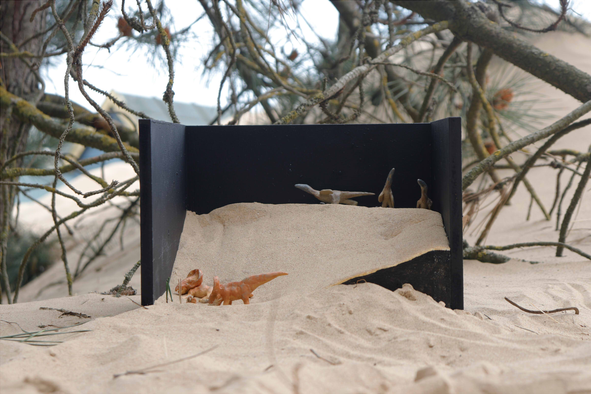 BA Animation work by Frankie Fry of his showcase project 'Dune'. Explores diorama fabrication and prehistoric life.