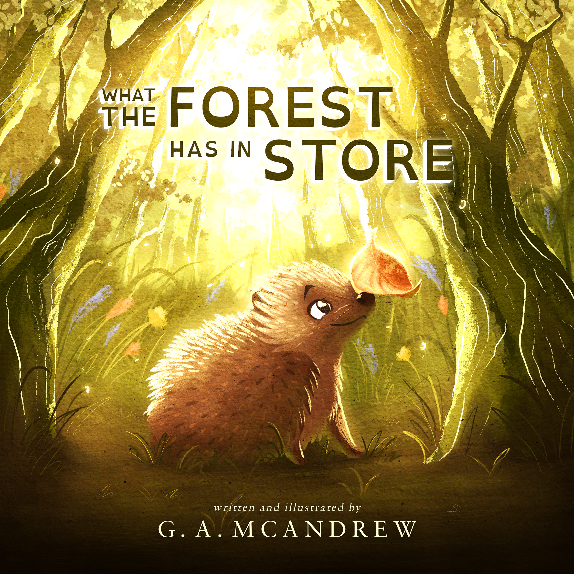 What the Forest Has in Store Front Cover by G. A. McAndrew, depicting a small hedgehog with a leaf on his nose in a colourful forest.