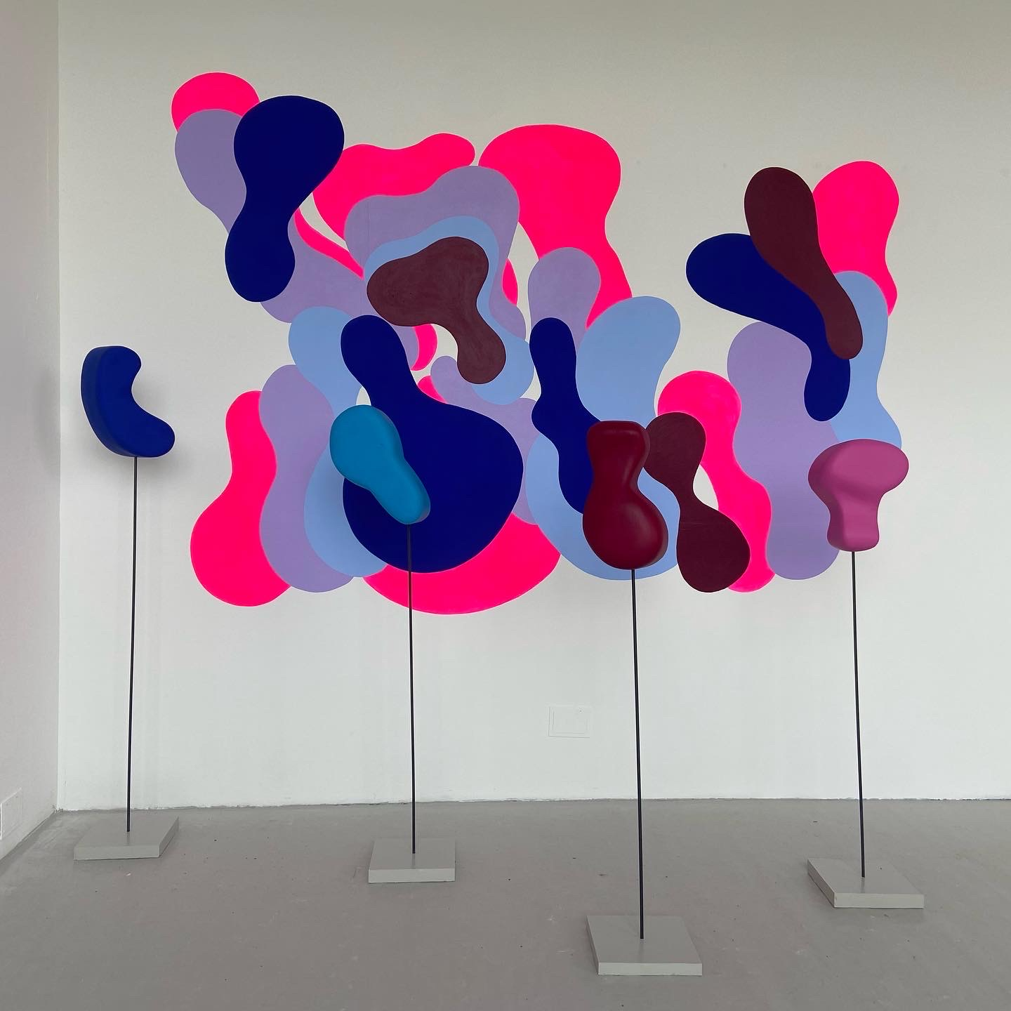 BA Fine Art work by Harriet Reeve showing a colourful abstract instillation