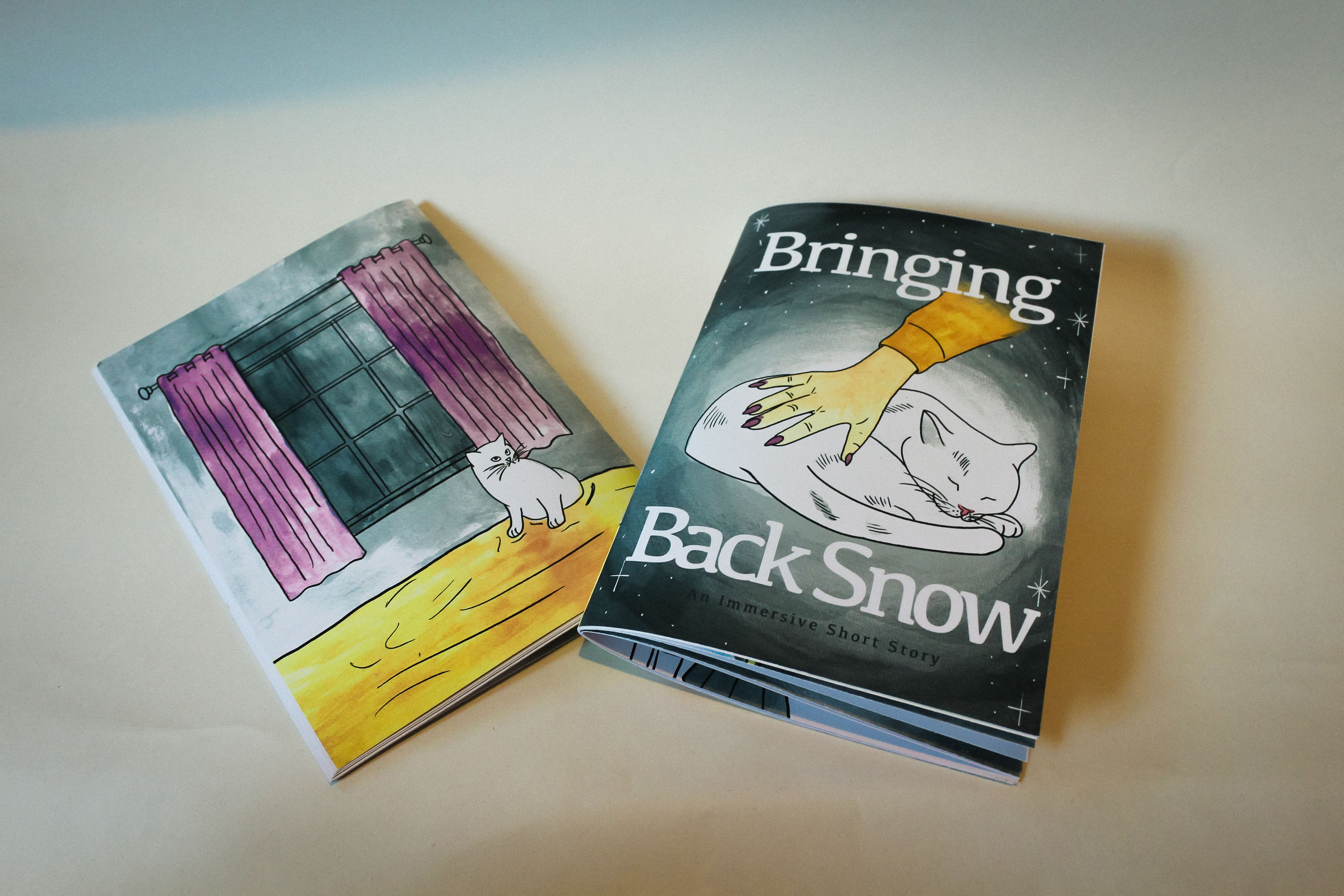 A photograph of 24-page short story zine titled 'Bringing Back Snow'. The front cover shows an illustration of a curled up white cat, being petted by a yellow hand.