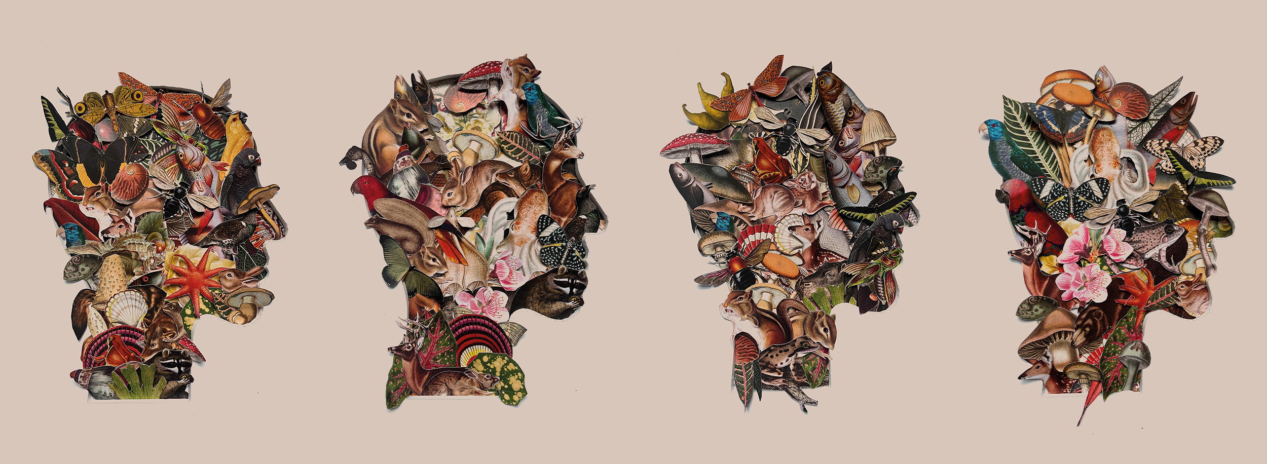Head Collage by Jake Cook showing vintage nature illustrations in a profile head shape.