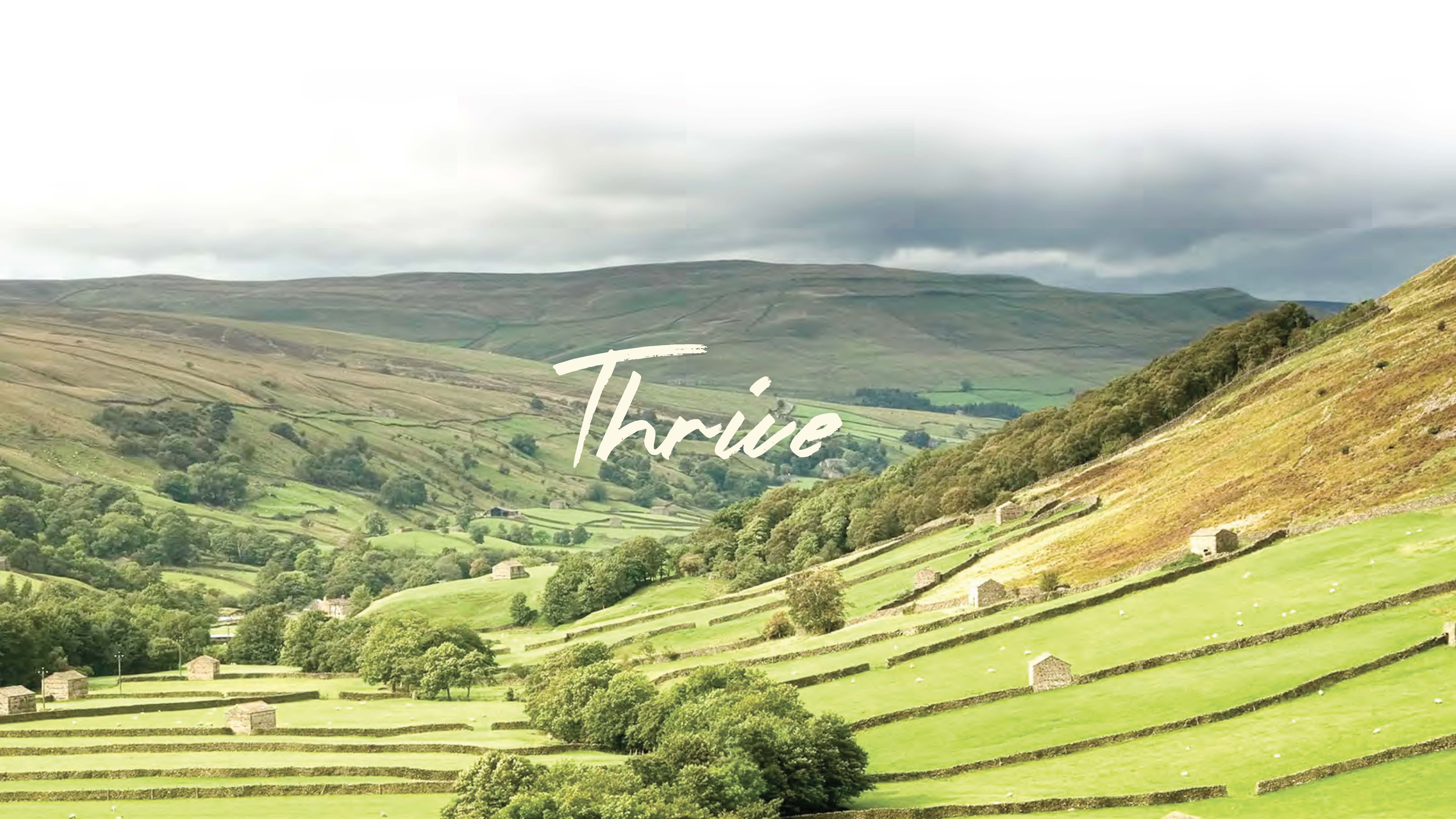 BA Graphic Design work by James Saunders showing a landscape of Ilkley Moor and the Thrive logo.