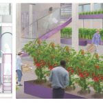 BA (Hons) Architecture work by Jane Ezechi showing a colourful interior view of urban farm.
