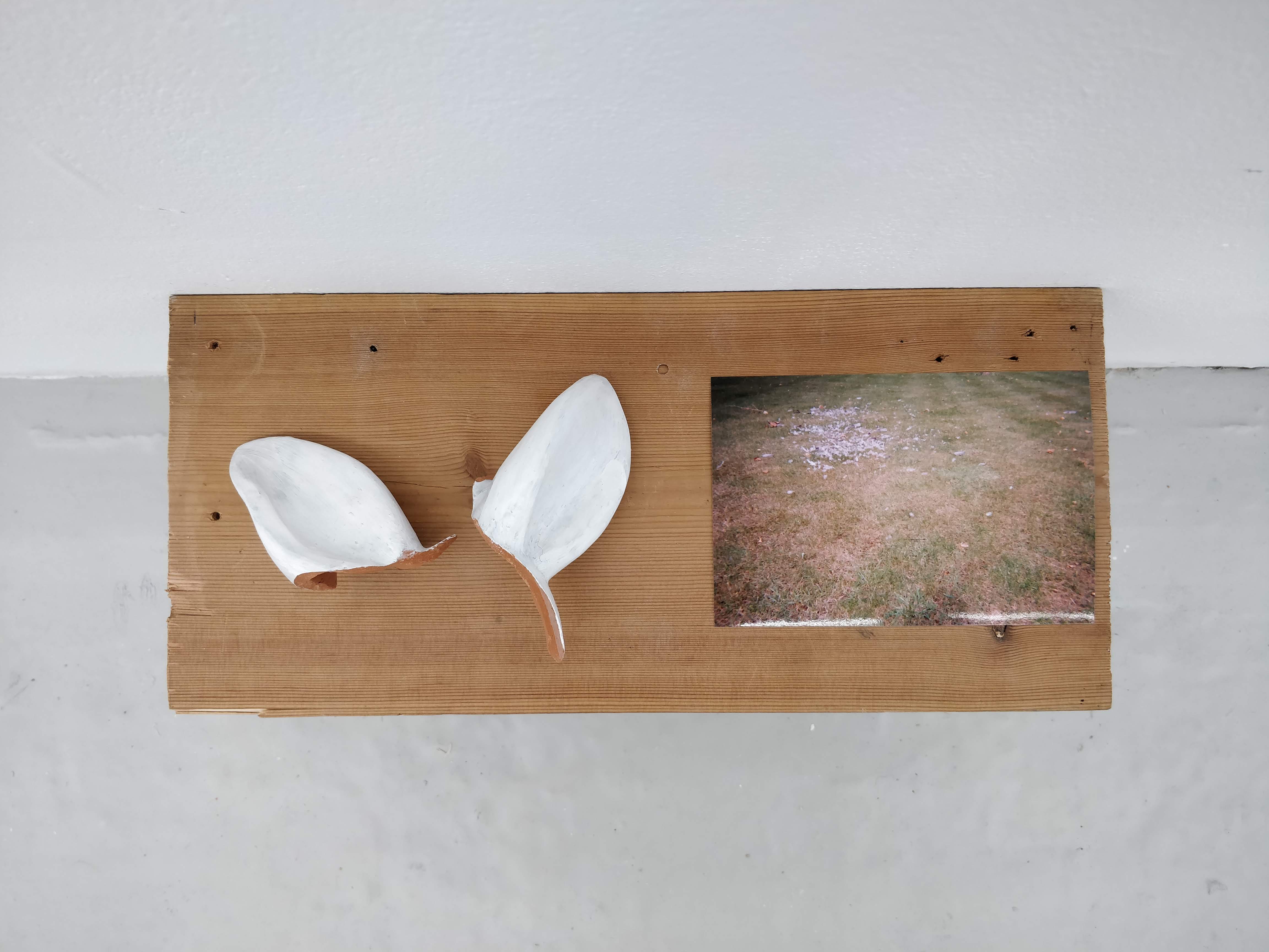 BA Fine Art work by Molly Jackson showing a view from above of a wooden shelf with a pair of white rabbit ears and photograph of scattered feathers on grass.