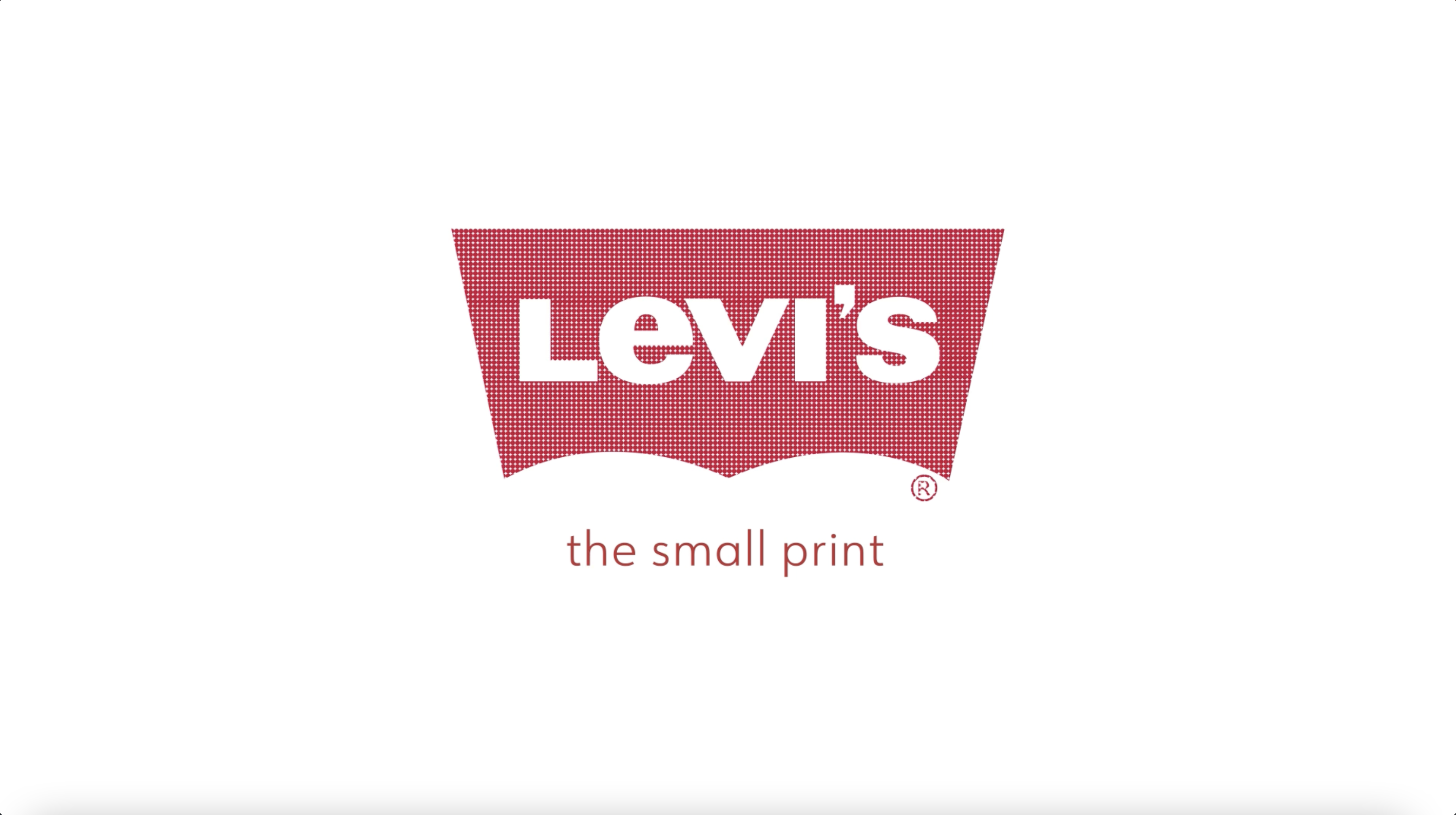 Thumbnail for 'The Small Print' by Nat Dalkiewicz. The Levi's logo on a white background, with 'the small print' written in red sans serif font