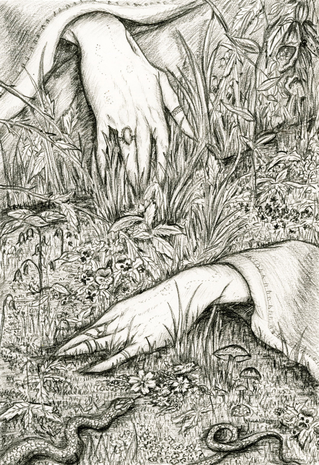 Black coloured pencil drawing on white cartridge paper. Depicts the hands of Queen Titania from A Midsummer Night's Dream amongst wild foliage as she is sung to sleep.