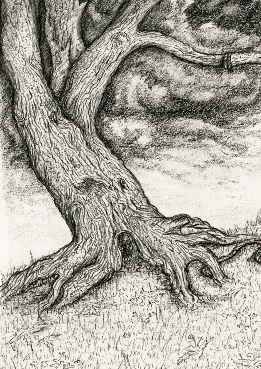 Black coloured pencil drawing on white cartridge paper. Depicts an old, twisted oak tree on a hill from which the remnants of a noose hangs, set against a stormy sky.