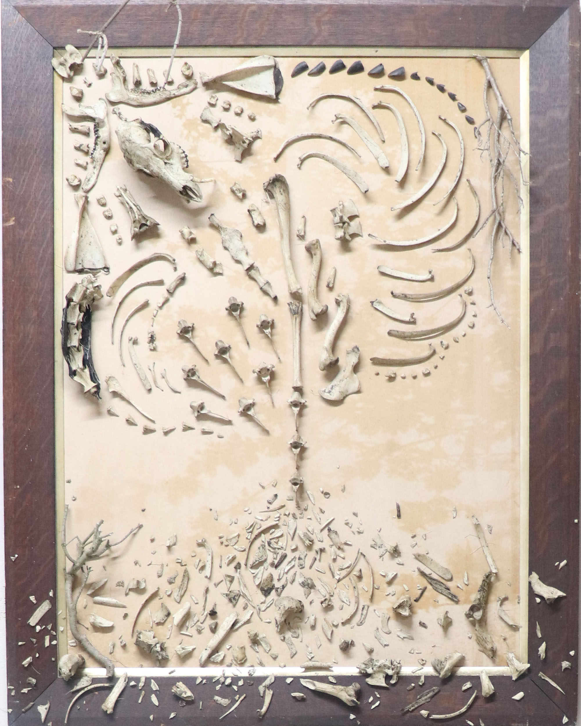 Wall hanging artwork by Zoë Bullen, displaying broken skeletal remains, of a small roadkill deer, arranged over rastered photograph of foliage, and old wooden picture frame.