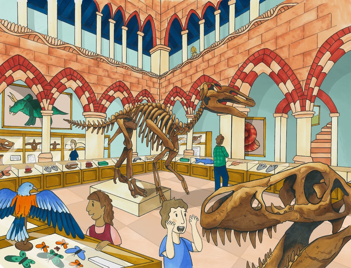 Illustration by Beth Lester showing a natural history museum scene.