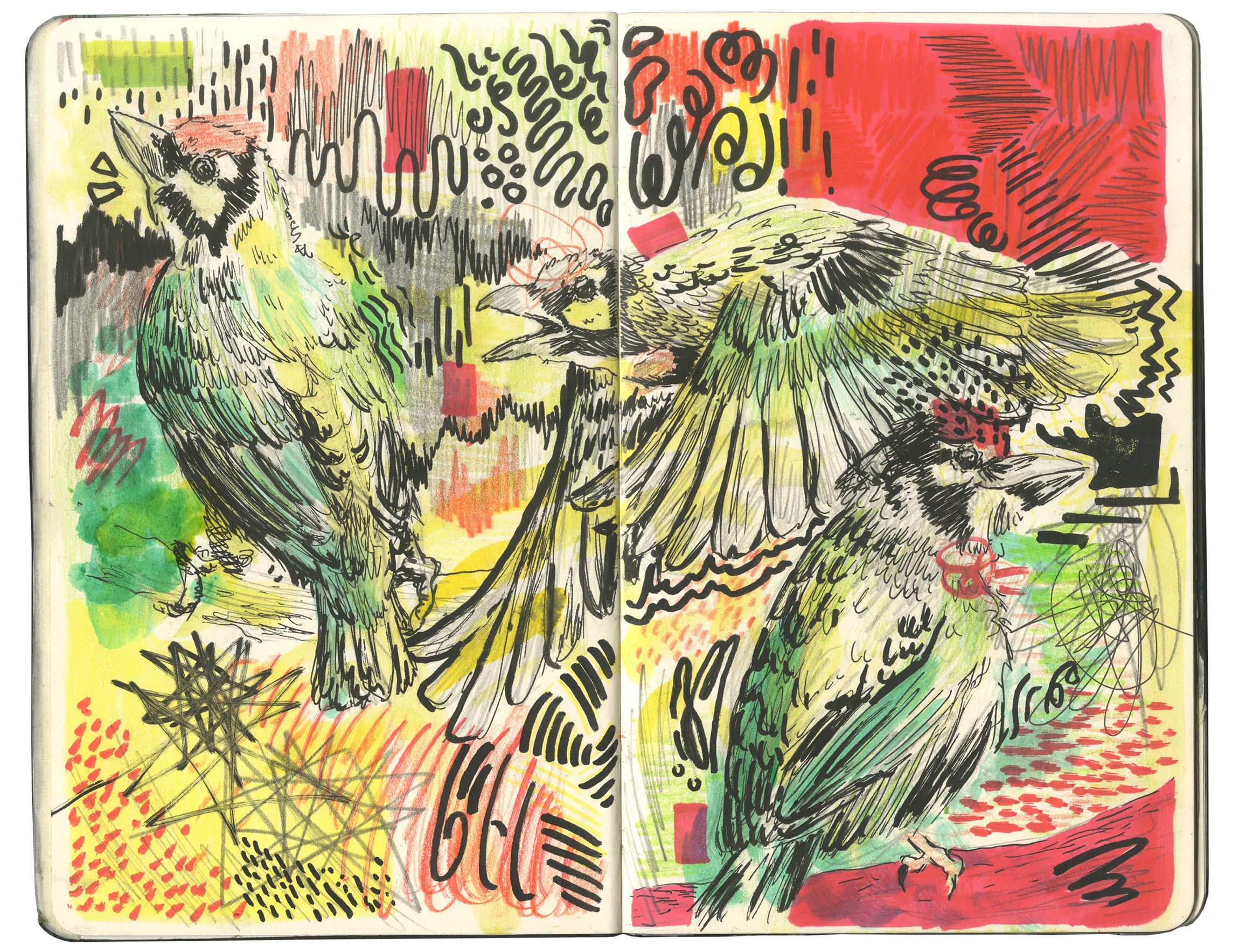 A brightly coloured, high-energy image of three birds; using explosive shapes, lines and scribbles.