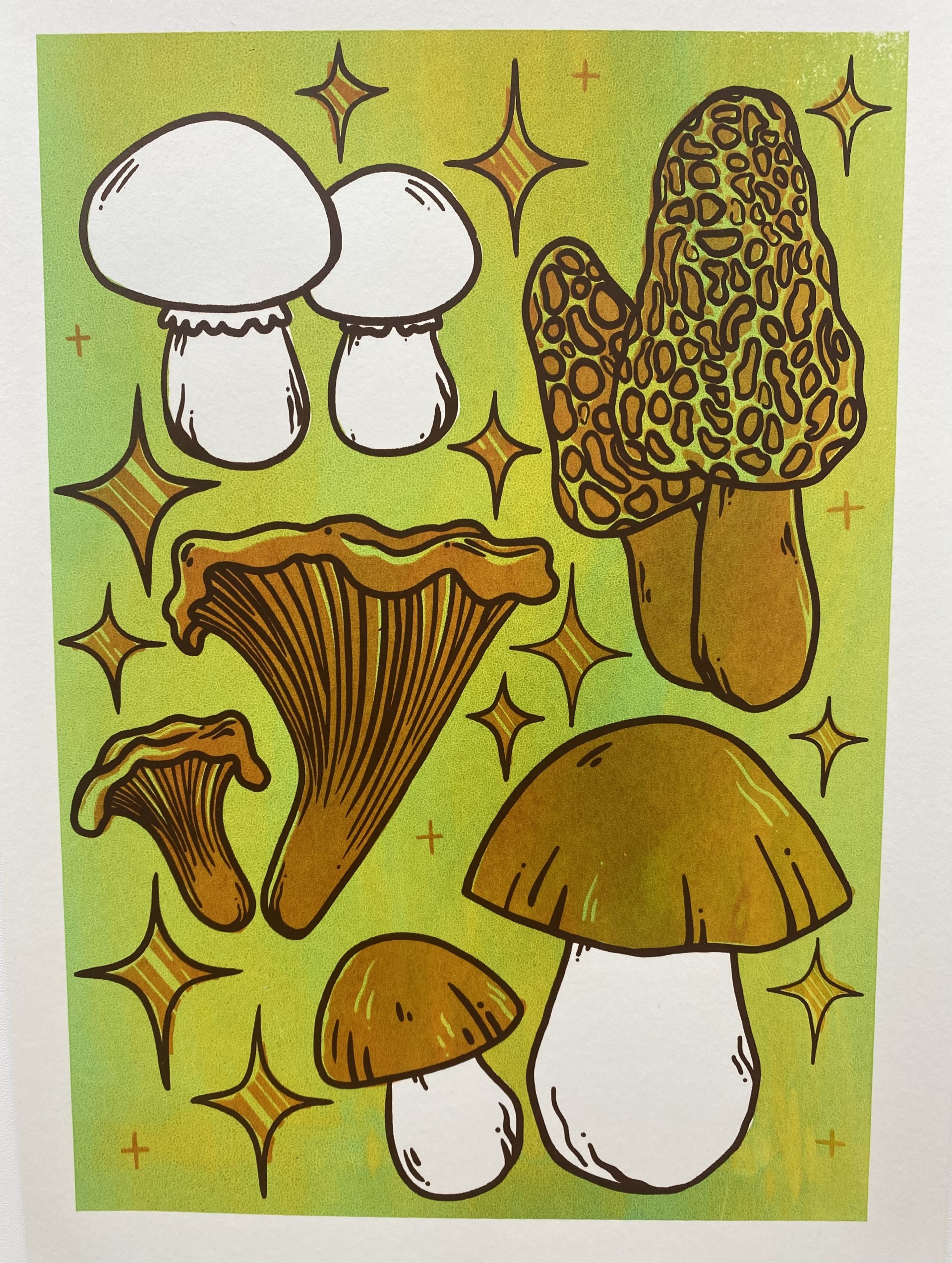 A4 screen print with 3 colour layers. The print is an illustration of different varieties of mushrooms, with sparkles / scattered stars around them.