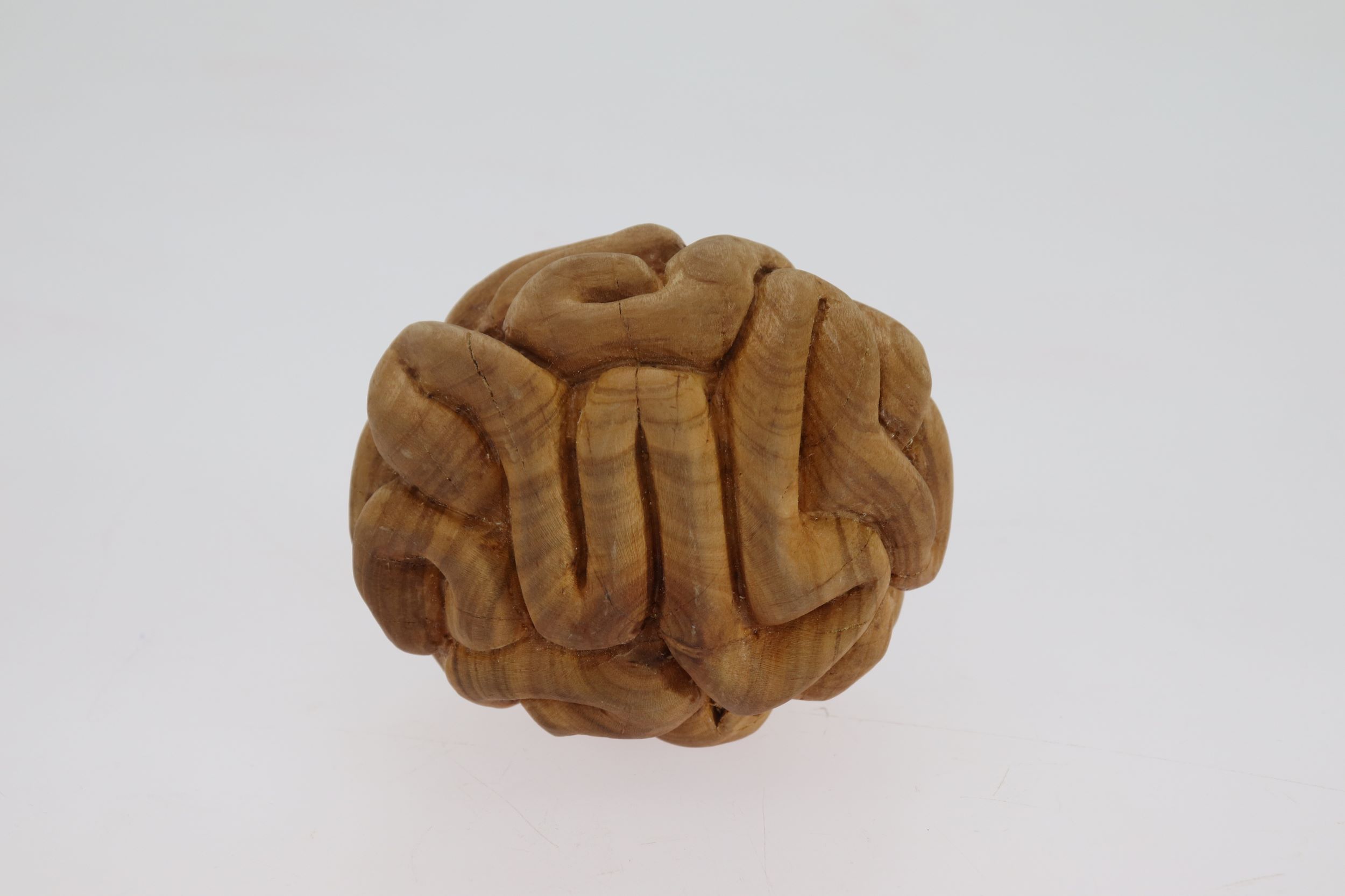 a carved woodne sculpture resembling a brain
