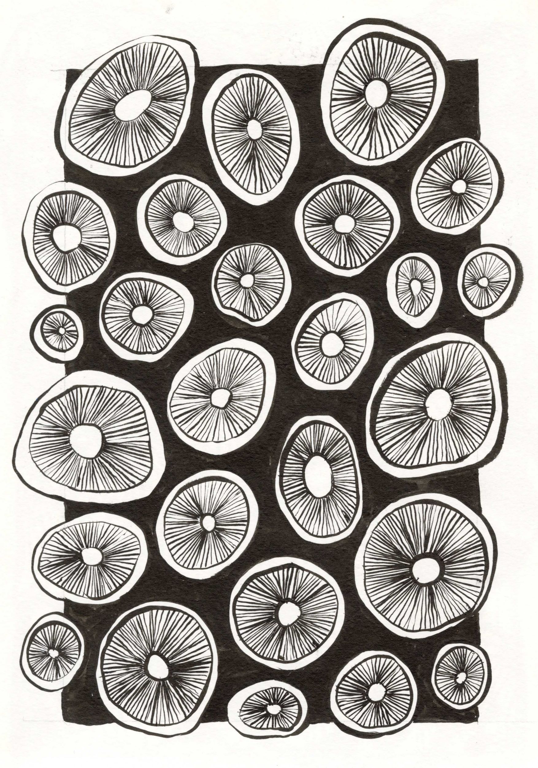 black and white pattern of circular forms with concentric stripes