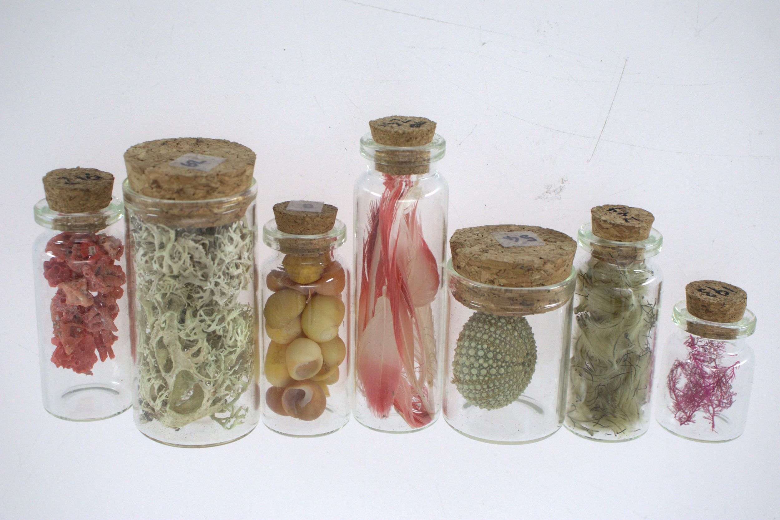 glass vials filled with found objects