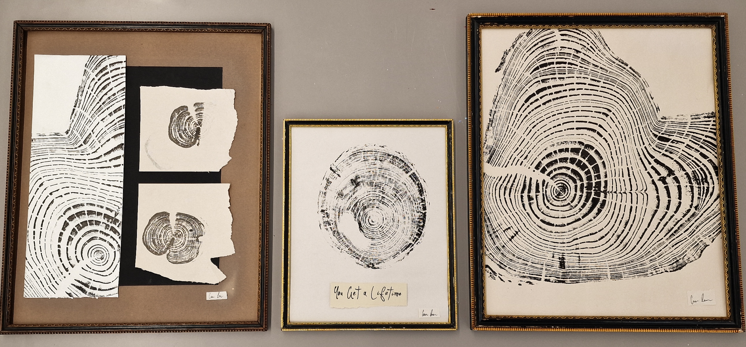 Fine Art work by Cydnee Inmon showing a set of 3 frames of tree ring prints.