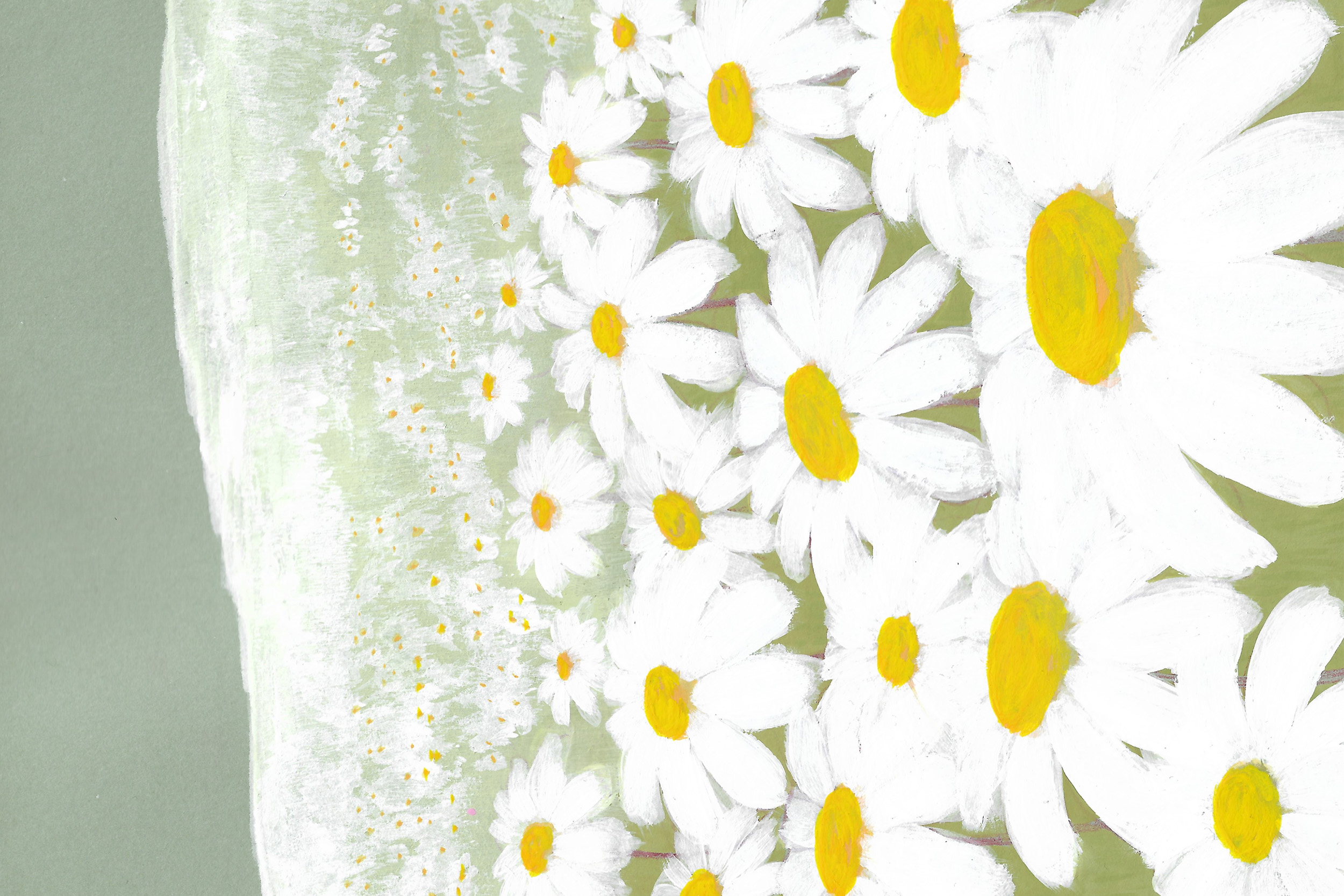 Painting of a field of daisies in gouache on a khaki green background.