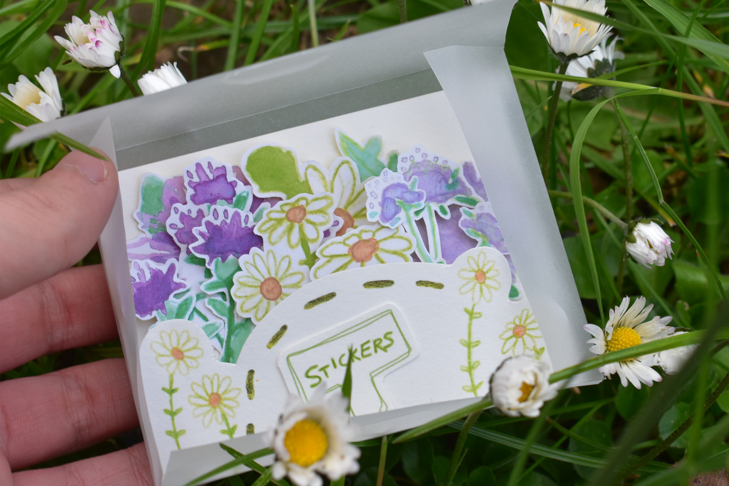 Image showing a translucent envelope containing stickers of daisies, common knapweed and field scabious. The stickers are painted in watercolour.