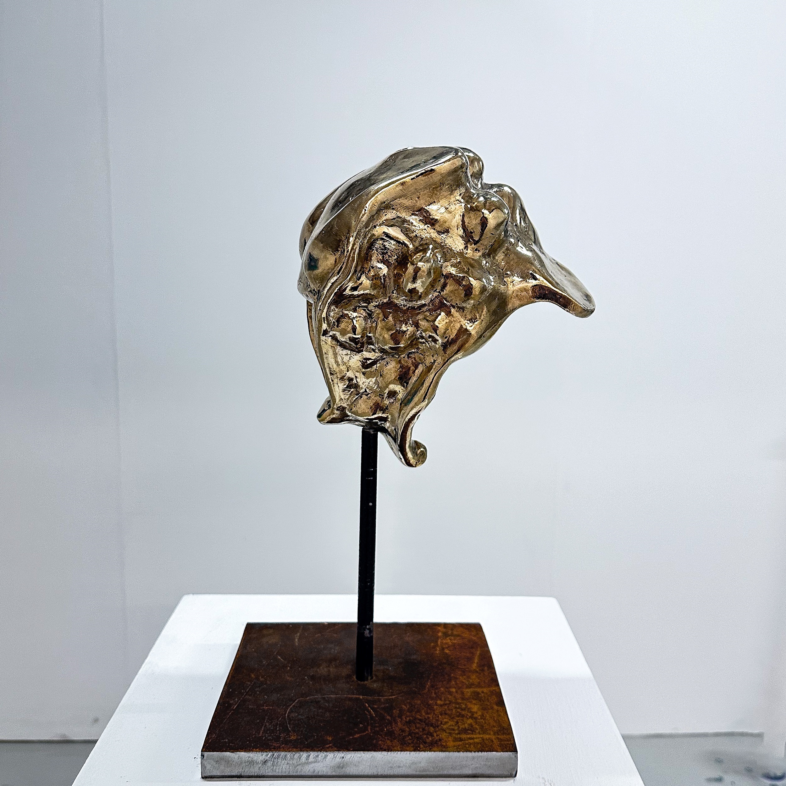 Bronze Sculpture work by Julian Giacomelli of two faces on each end in a biomorphic style, one frowning and the other laughing.