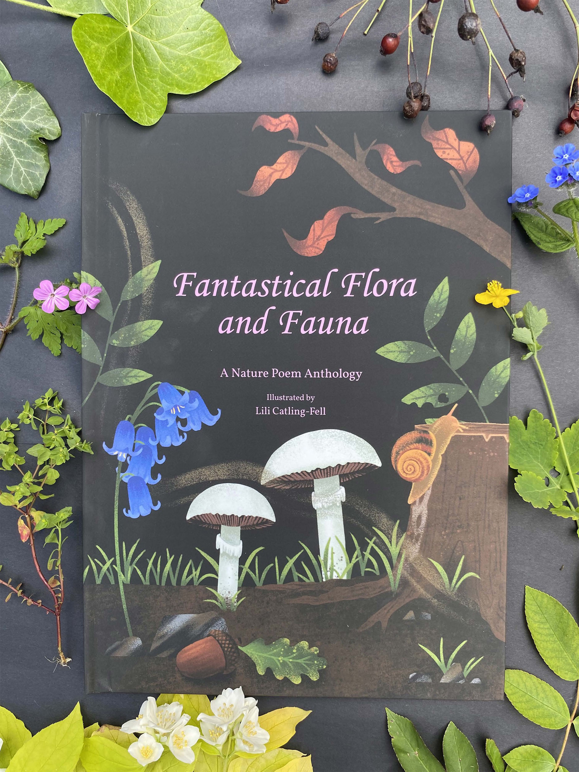 The front cover of my poem anthology "Fantastical Flora and Fauna". Various plants and two mushrooms in front of a black background with a pink title.