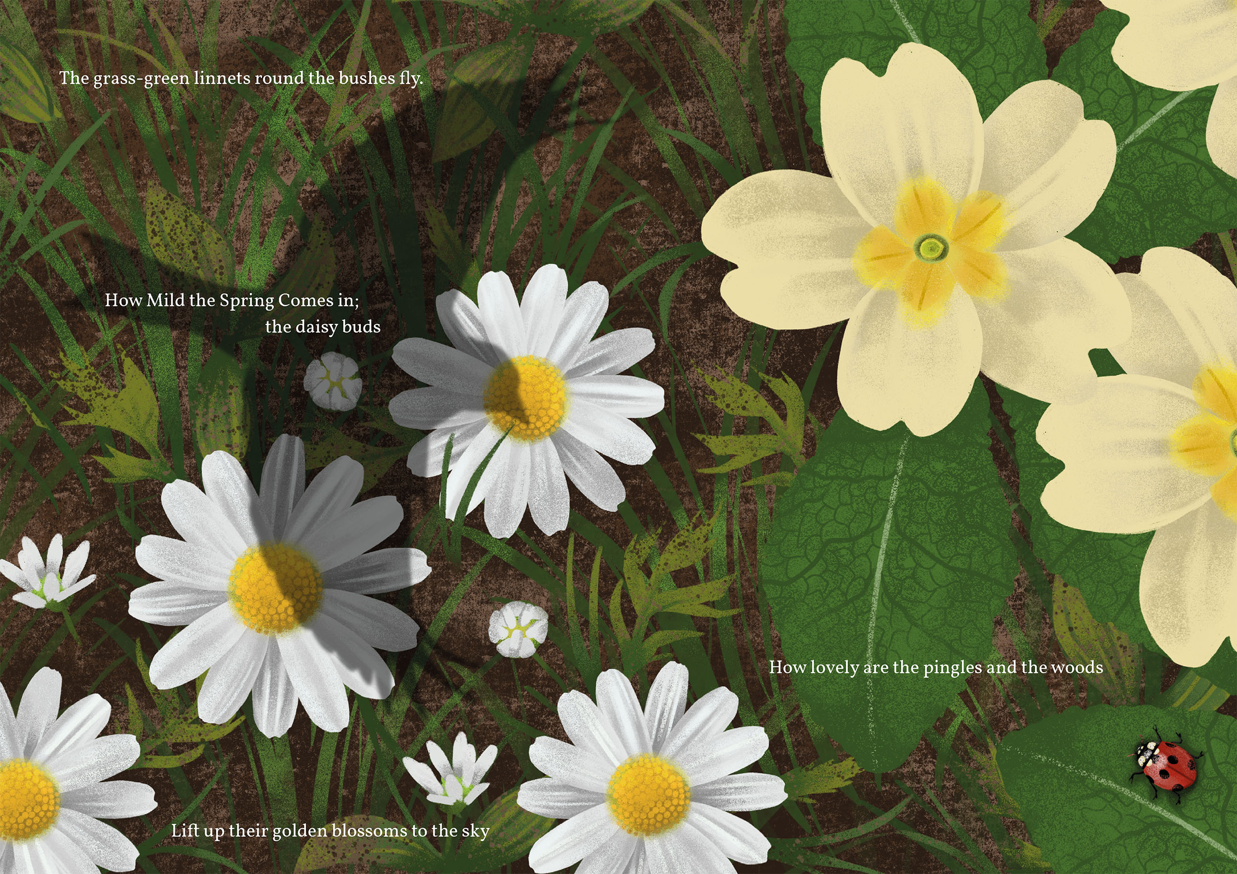 Illustrated spread of the third stanza from "On a Lane in Spring" by John Clare. Showcasing flowers and a ladybug.