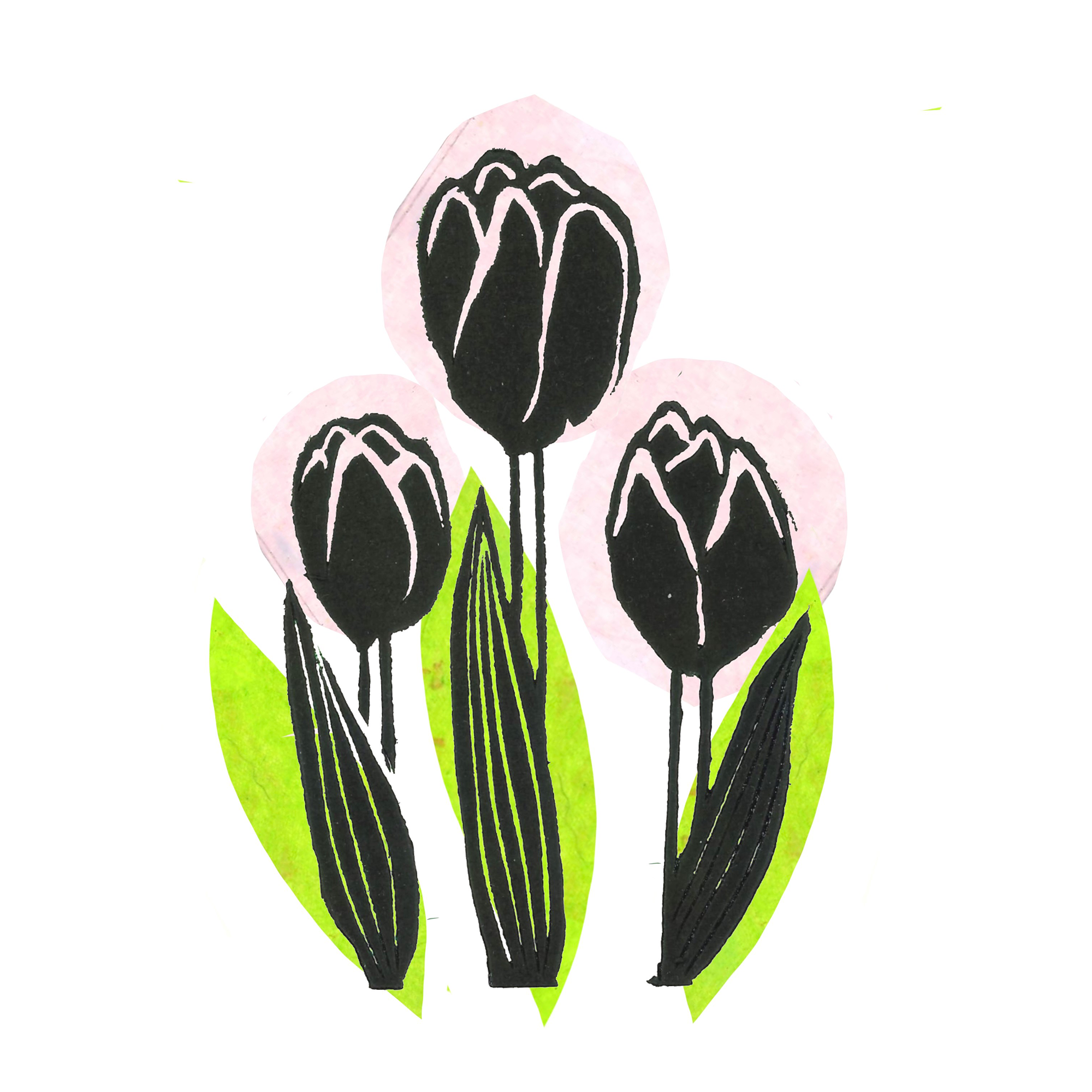 Lino print by Madison Powlesland showing a set of three tulip flowers.