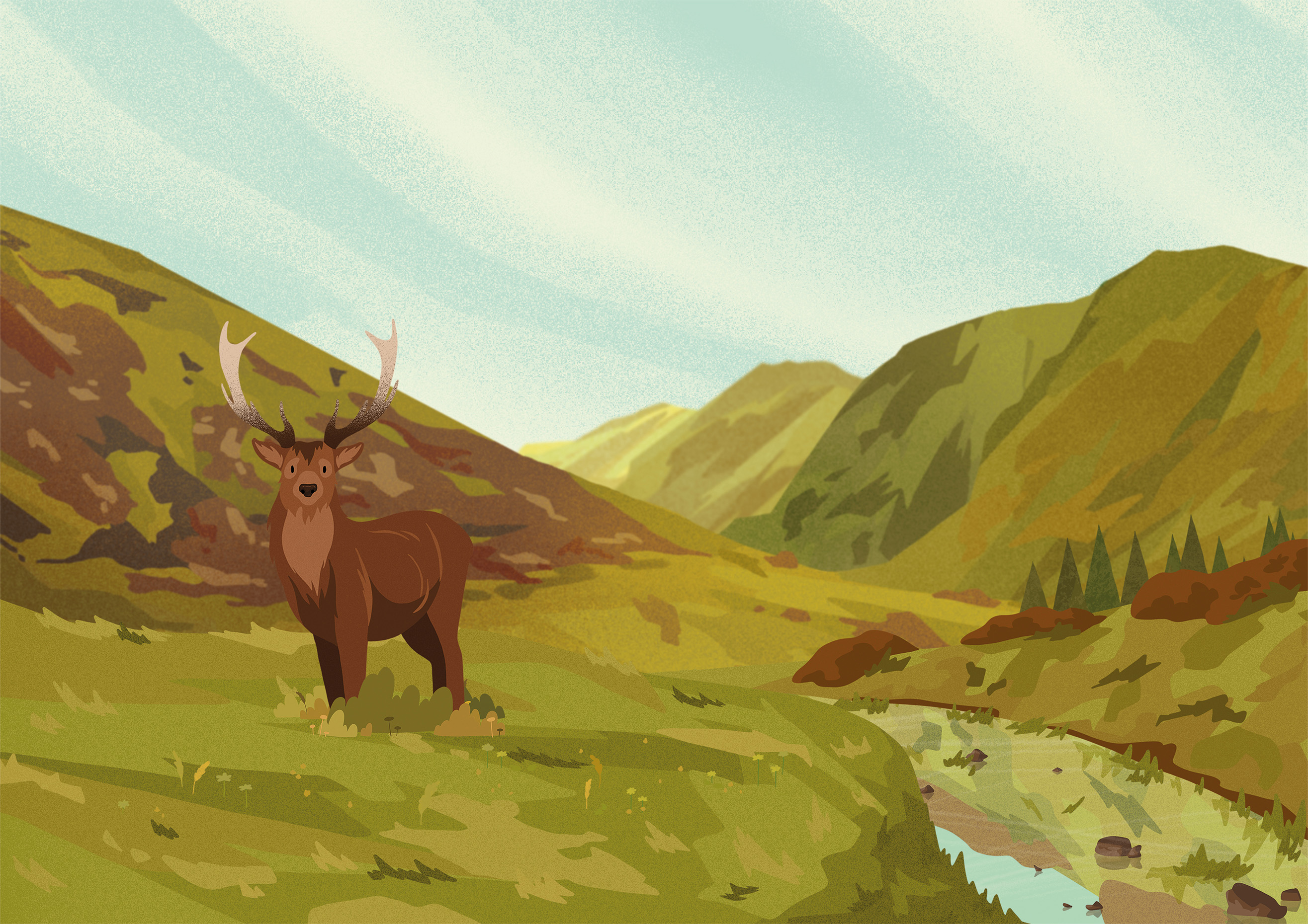 Landscape illustration depicting the Moffat Hills in Scotland with a Red Deer in the foreground.