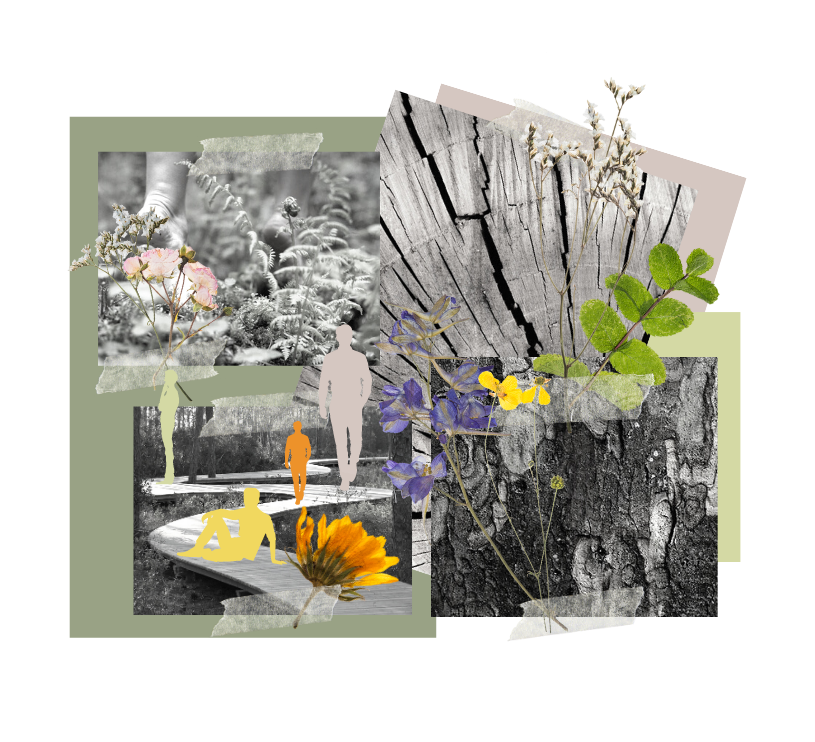 Concept collage with black and white imagery of nature with flowers layered ontop.
