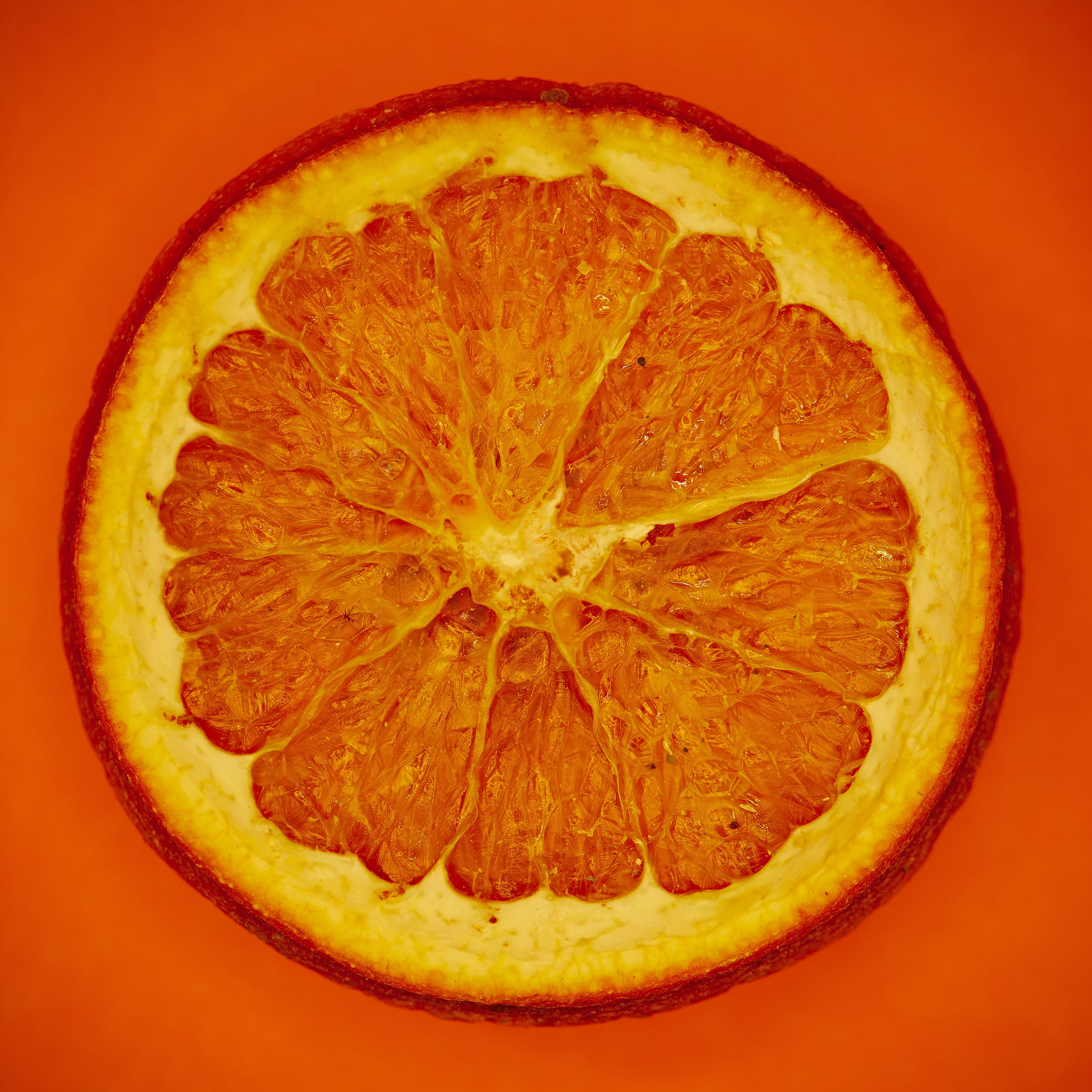Photograph by Rhianna Cleaveley showing a dried slice of orange on an orange background.