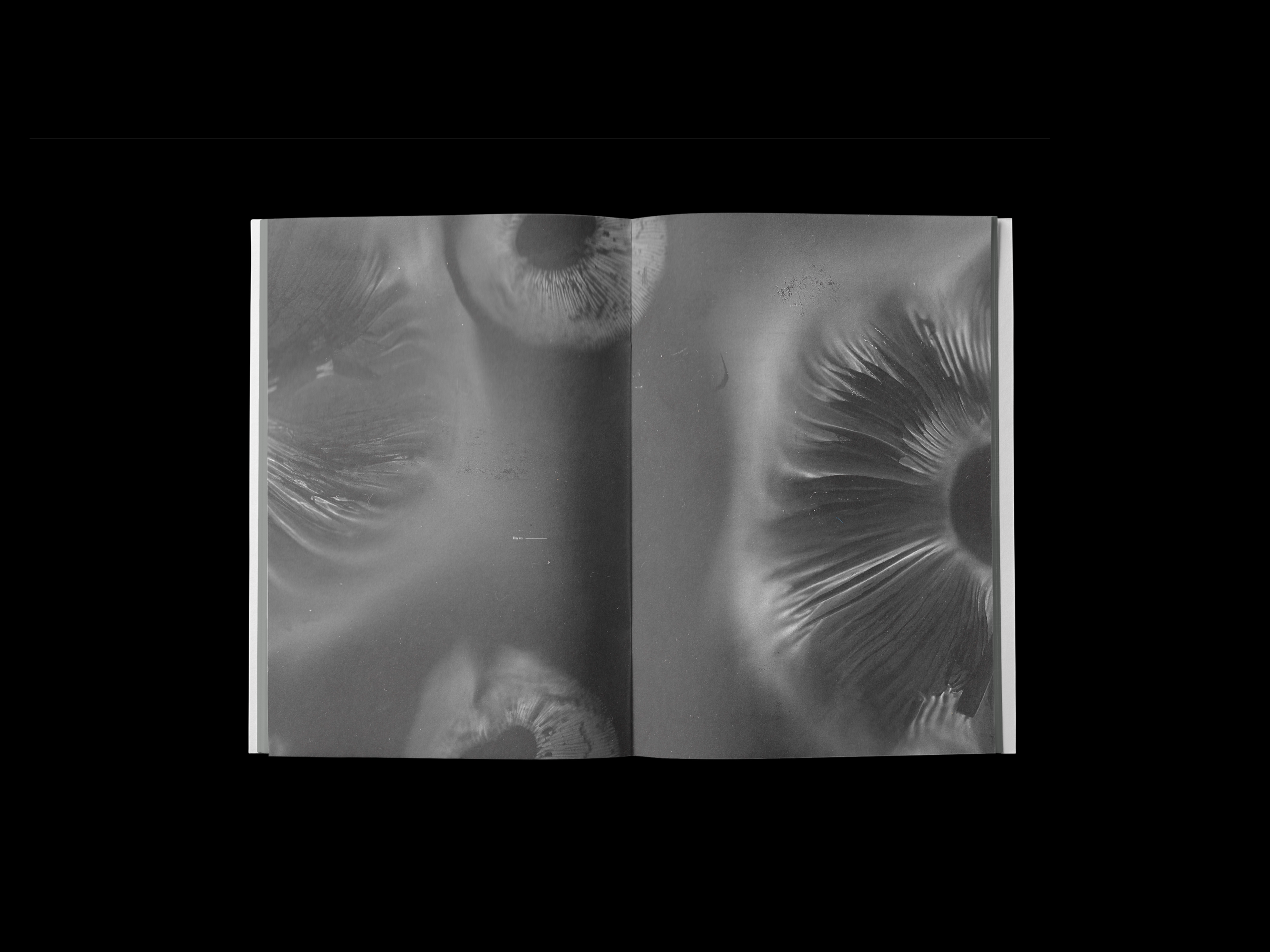 A page spread by Suzi Robinson showing a full bleed mushroom spore print with a single line of text.